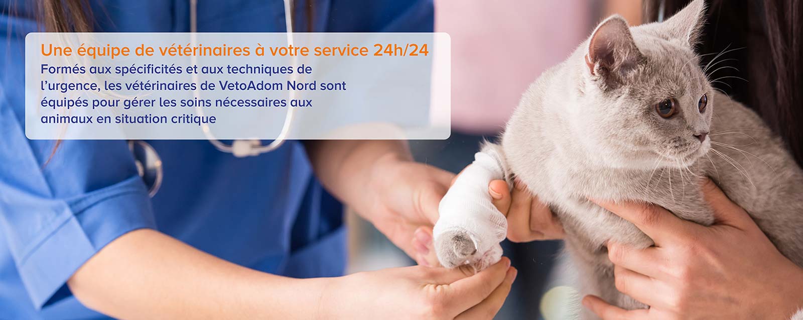 Un service d’urgence vétérinaire à domicile 24h/24 7j/7