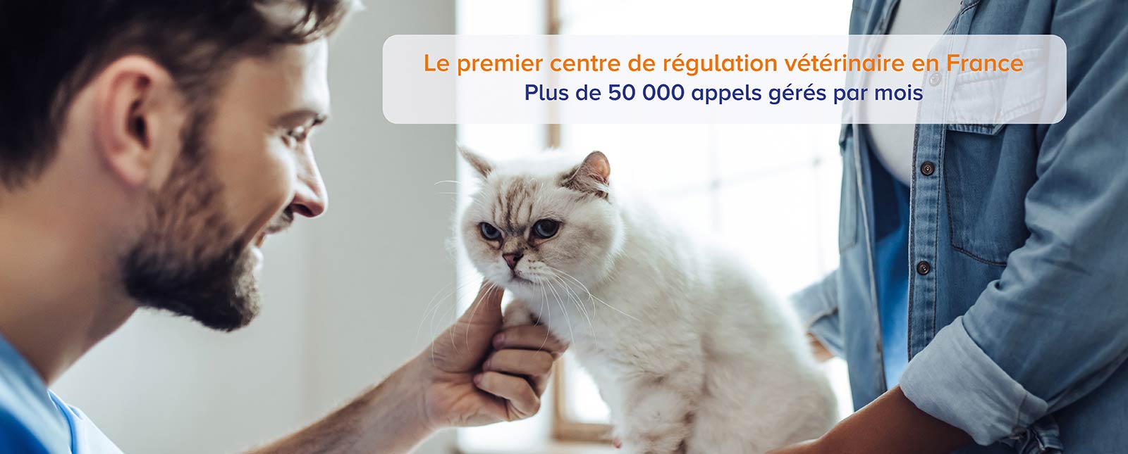 Les vétérinaires de VetoAdom régulent plus de 50 000 demandes de conseils par mois